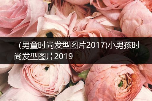 （男童时尚发型图片2017)小男孩时尚发型图片2019