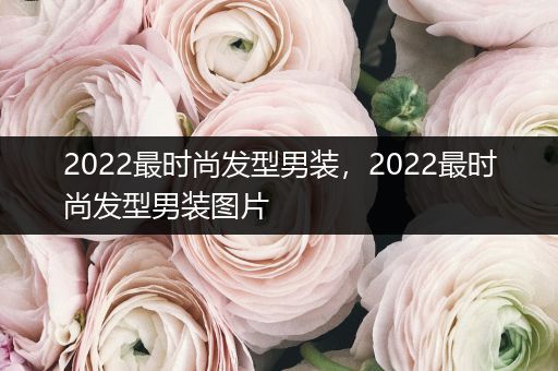 2022最时尚发型男装，2022最时尚发型男装图片